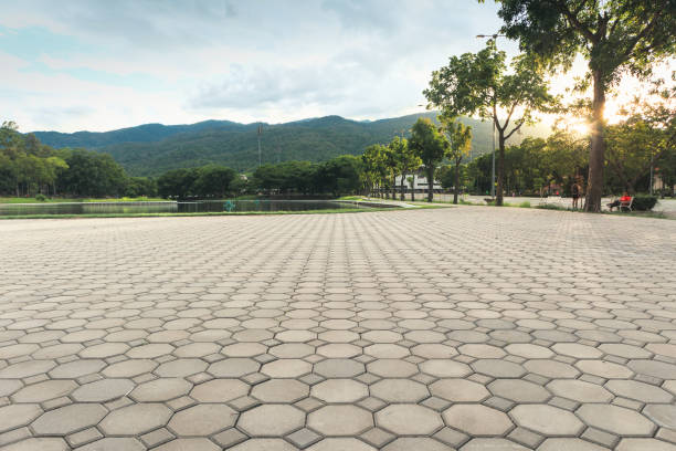 Best Local Driveway Pavers  in Auburndale, FL